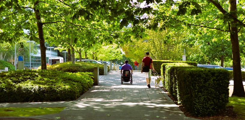 Disabled people walking in the park