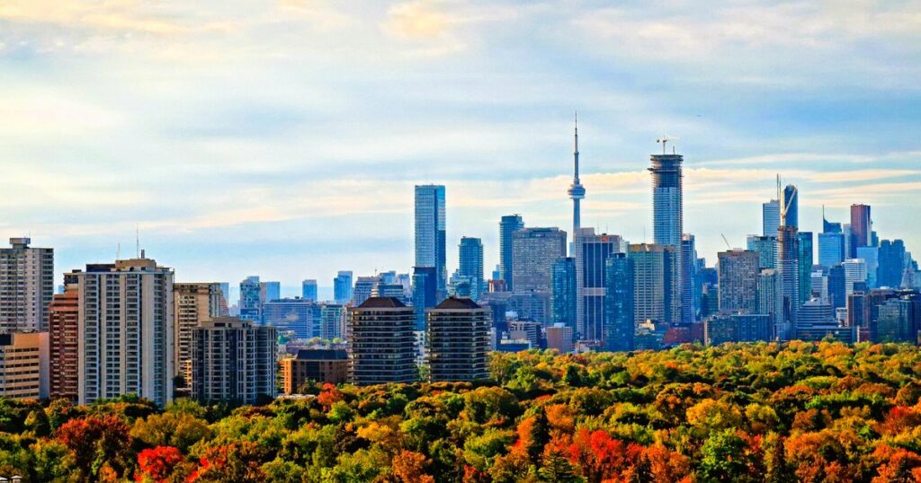 Urban Forest Initiatives