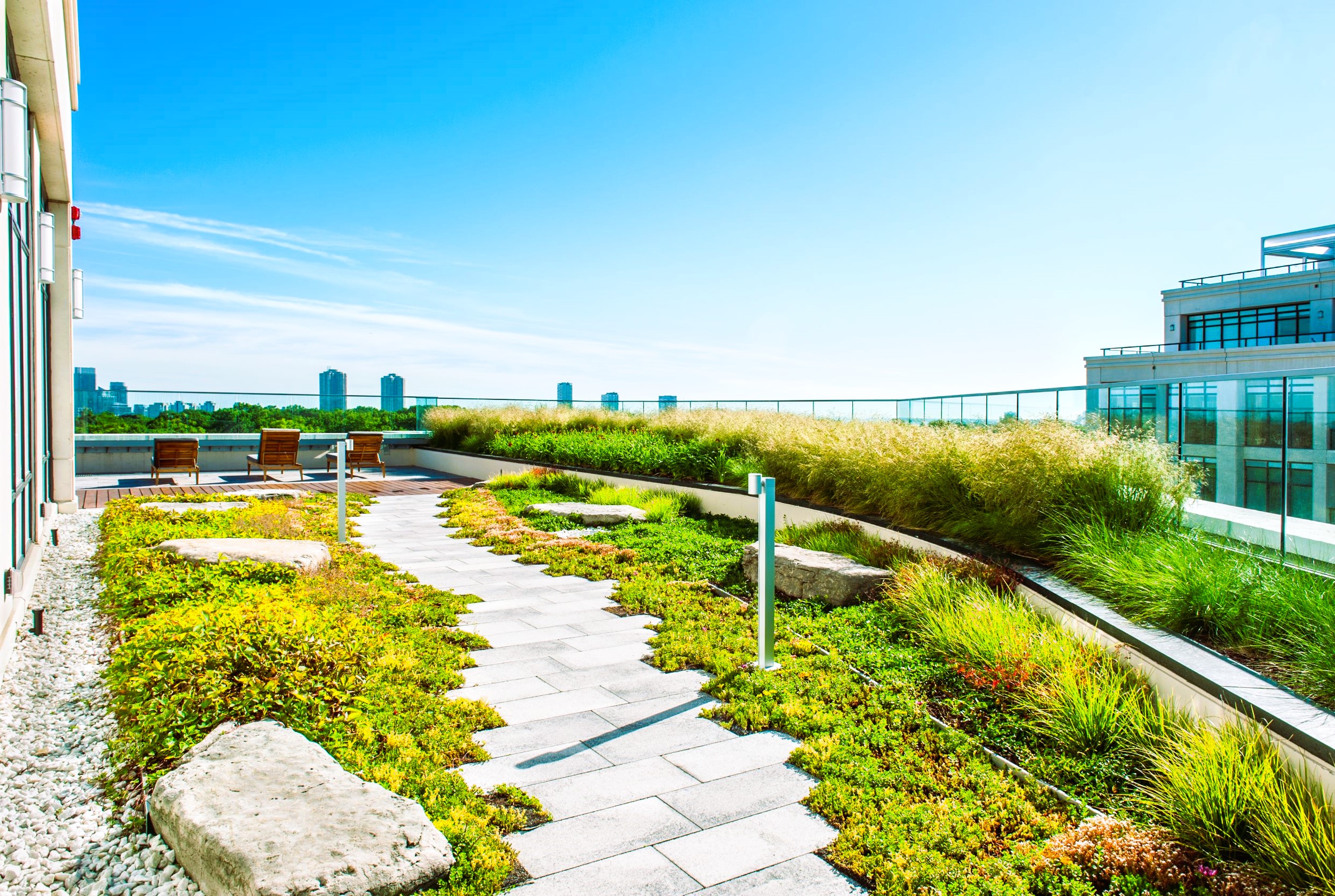 Green Roofs: Transforming Ontario’s Buildings into Living Landscapes