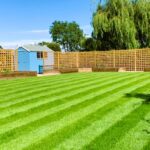 Greening the field