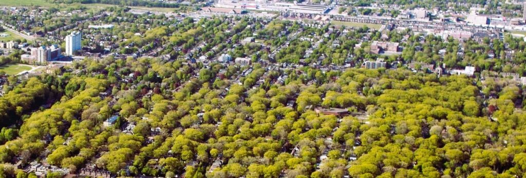 Urban Forests