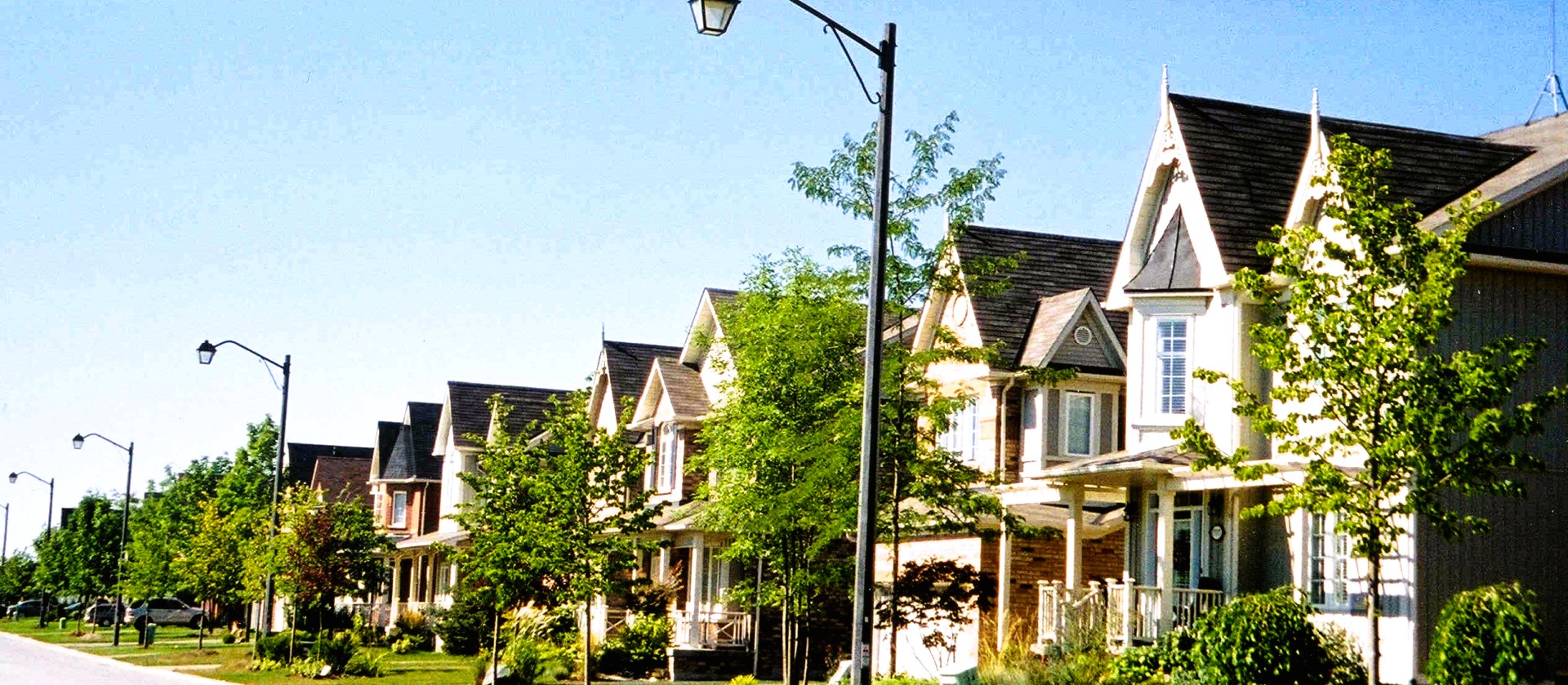 Urban Forests: Nurturing Nature in Ontario’s Cities