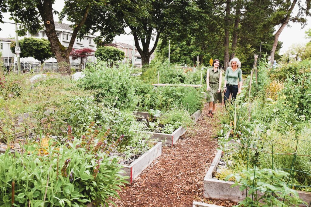 community garden