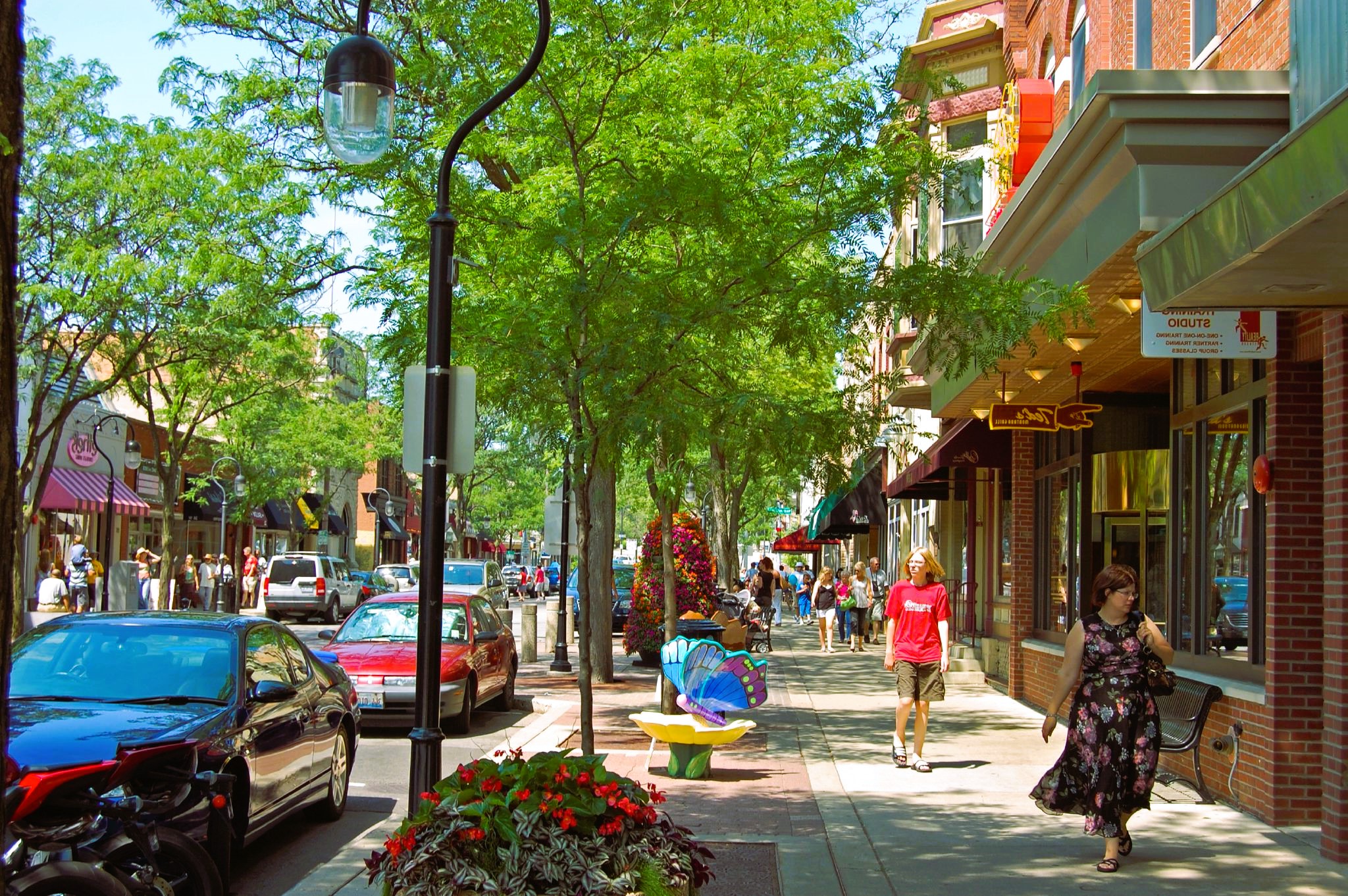 The Benefits of Trees: Greening Ontario’s Streets for a Healthier Future
