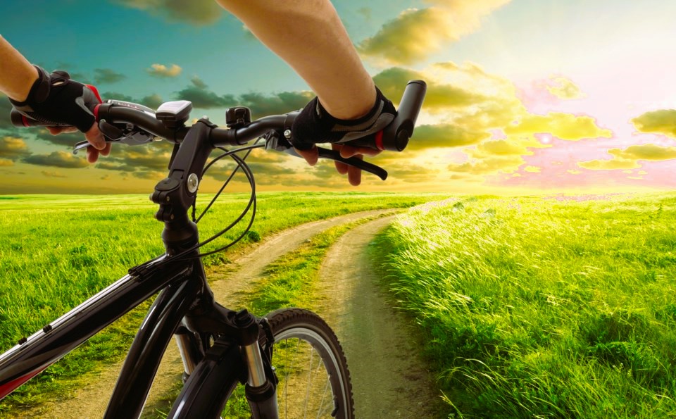 Promoting Active Transportation: Walking and Cycling Initiatives in Ontario