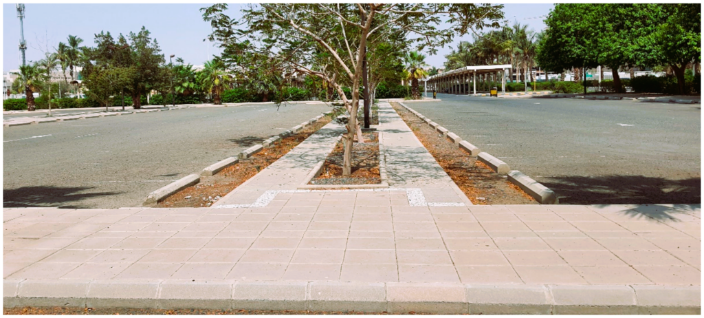 Parking without greenery