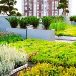 Biodiverse Green Roofs