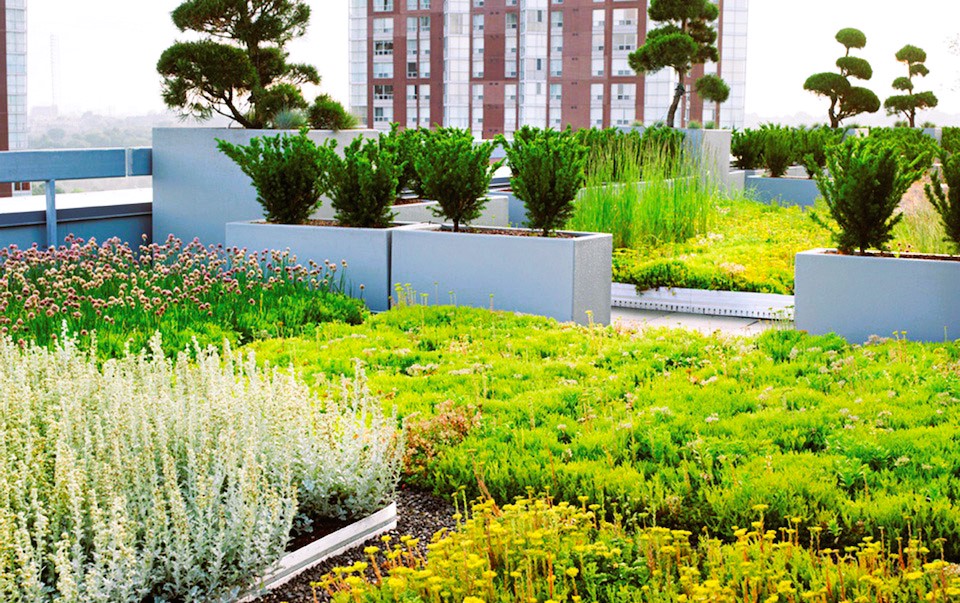 Biodiverse Green Roofs